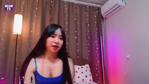 Snapshot of meowkami chatting on February 5, 2026, 11:42 pm meowkami online show from February 5, 2026, 11:42 pm