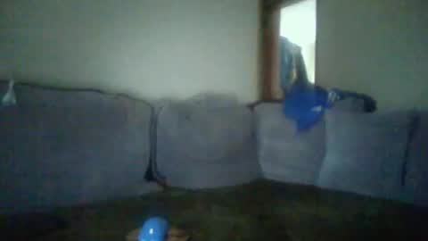 Snapshot of metcas chatting on October 23, 2025, 8:46 am metcas online show from October 23, 2025, 8:46 am