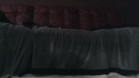 methorny online show from February 1, 2025, 7:57 am