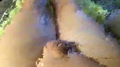 Wade online show from January 8, 2025, 1:42 am