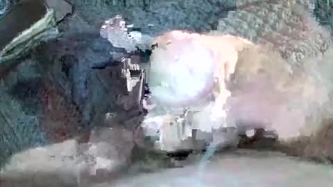 mexianthehawk online show from November 3, 2025, 11:22 am