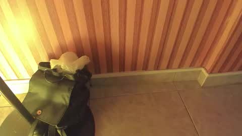 Snapshot of mia__blaze_ chatting on February 5, 2026, 3:00 am mia__blaze_ online show from February 5, 2026, 3:00 am