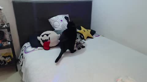 mia online show from October 4, 2025, 12:52 am