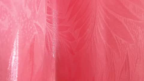 Snapshot of mia_nova5 chatting on July 5, 2026, 11:50 am mia_nova5 online show from July 5, 2026, 11:50 am