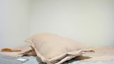 MIA INDEPENDENT MODEL  online show from October 16, 2025, 5:03 pm