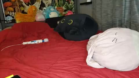 Mia Love online show from January 10, 2025, 11:11 am