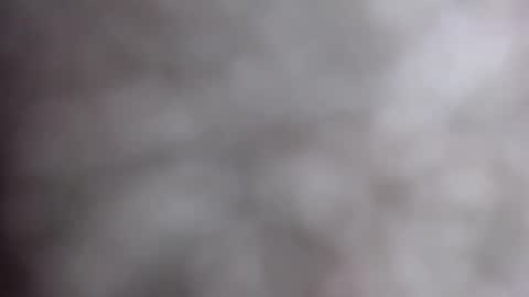 MiahLove31 online show from October 17, 2025, 4:59 am