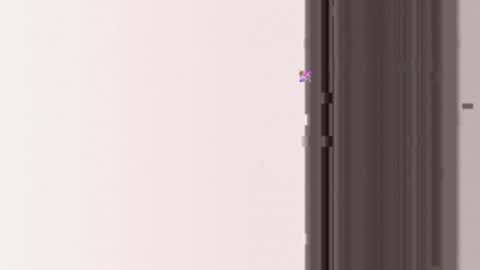 miamifit online show from March 19, 2026, 5:11 am