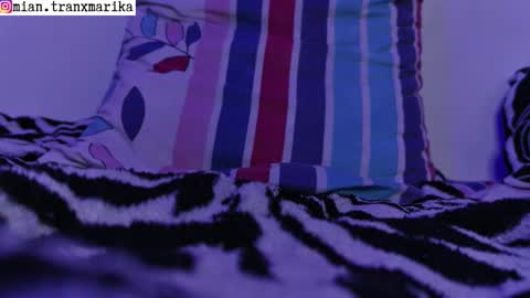 MianCuntyDoll online show from January 31, 2026, 7:34 pm