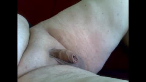 micropimmel online show from January 11, 2026, 1:38 pm