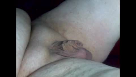 micropimmel online show from February 26, 2026, 8:30 pm