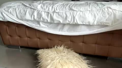 djfuckoff online show from March 2, 2026, 1:40 pm