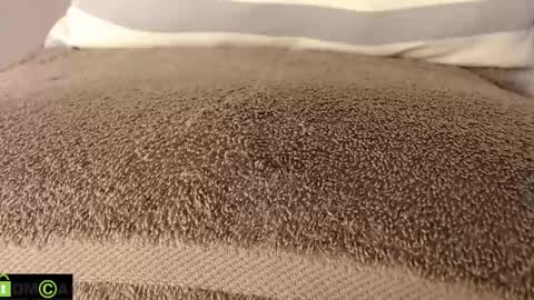 Mikell Williams online show from March 11, 2025, 8:53 pm