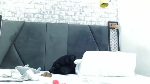 Snapshot of mila_adamss chatting on January 16, 2025, 5:01 pm mila_adamss online show from January 16, 2025, 5:01 pm