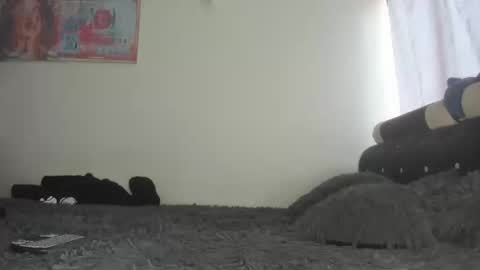 Mila Dash online show from January 8, 2025, 1:41 pm