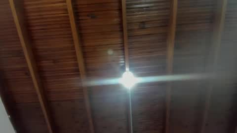 Snapshot of milarose4 chatting on December 31, 2024, 11:53 am Mila Rose online show from December 31, 2024, 11:53 am