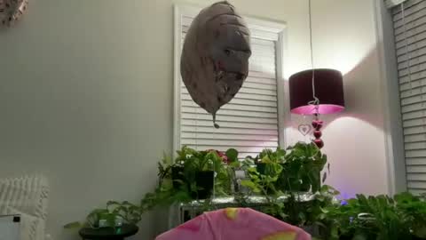 Snapshot of milf_goddess chatting on July 13, 2026, 2:36 am MIlf Goddess online show from July 13, 2026, 2:36 am