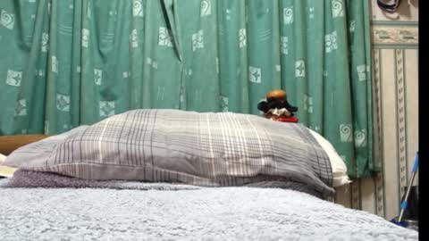 Snapshot of milfy72 chatting on January 30, 2025, 10:41 pm milfy72 online show from January 30, 2025, 10:41 pm