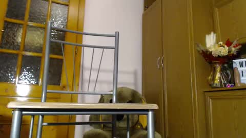 Im  to see you here Pvts are open  I love patterns soo much online show from December 4, 2024, 6:11 am