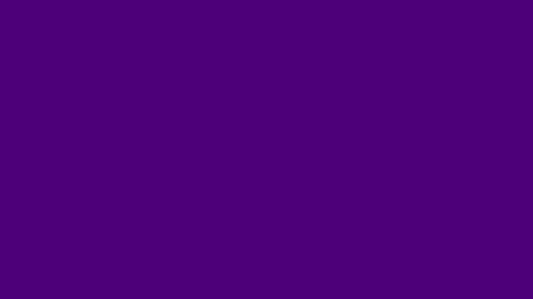 minkfloow online show from January 6, 2025, 11:09 pm
