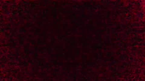 minoas31 online show from February 9, 2026, 6:17 am