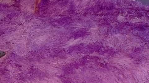 miss__jones_ online show from April 6, 2026, 4:52 pm