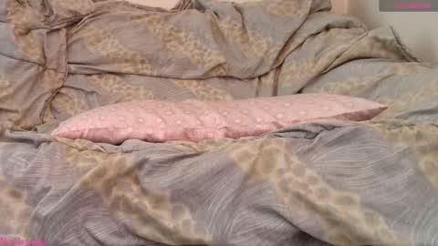  Vi  online show from February 19, 2026, 11:06 am