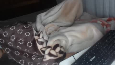 sarah online show from December 28, 2024, 4:30 am