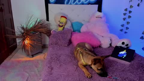 Snapshot of misstexass_ chatting on December 4, 2024, 6:06 pm Natalie Texass indepedent model online show from December 4, 2024, 6:06 pm