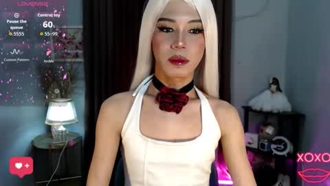 Stella online show from October 18, 2025, 7:42 am