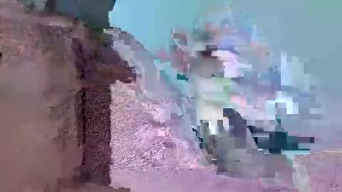 Mister Gringo online show from February 11, 2026, 5:40 pm