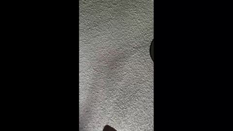 mister_nasty online show from October 3, 2025, 9:56 pm