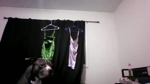 miztrezk online show from May 12, 2026, 2:08 am