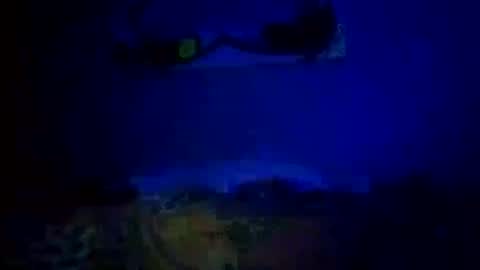 Snapshot of mjmckenz55 chatting on October 14, 2025, 11:05 pm Daddy720 online show from October 14, 2025, 11:05 pm