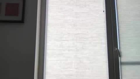 mko88951 online show from April 22, 2026, 10:50 am