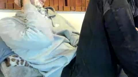 Snapshot of moderdelier chatting on November 9, 2025, 12:31 am DigBreed online show from November 9, 2025, 12:31 am