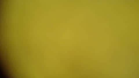 mohamedasif123 online show from January 29, 2025, 6:22 am