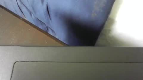 moneyboysaveg548 online show from November 13, 2025, 4:06 pm