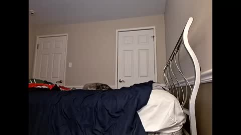 moneyboysaveg584 online show from April 12, 2026, 10:09 am