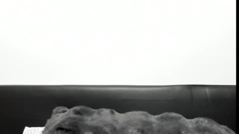 monicacure online show from October 27, 2025, 3:16 pm