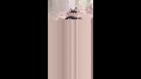 Snapshot of monicahmuchira49 chatting on January 8, 2026, 12:29 pm shirybeb online show from January 8, 2026, 12:29 pm