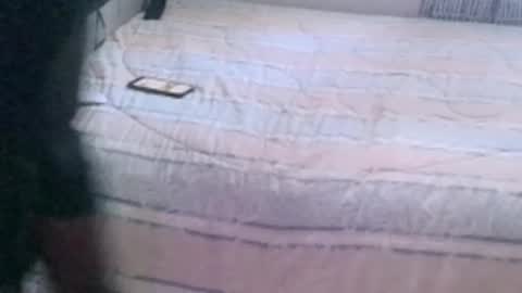 montydxxx2 online show from February 7, 2026, 9:18 pm