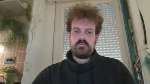 Snapshot of morritz chatting on February 10, 2025, 12:08 pm morritz online show from February 10, 2025, 12:08 pm