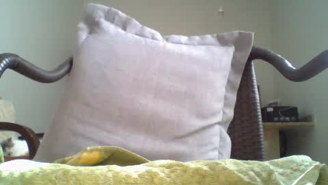 Snapshot of mountfort1967 chatting on July 20, 2026, 3:14 pm mountfort1967 online show from July 20, 2026, 3:14 pm