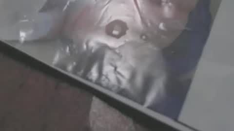 mowfbreever online show from October 18, 2025, 5:57 pm