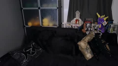 Snapshot of moxxxiemorbid chatting on February 19, 2025, 7:50 am Moxxxie Morbid online show from February 19, 2025, 7:50 am