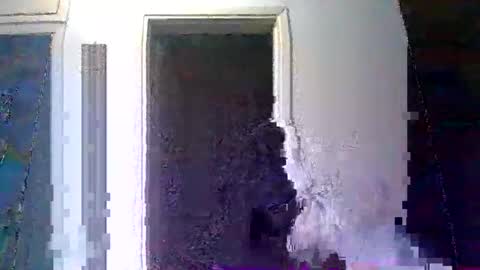 mppempis81 online show from January 10, 2026, 10:03 pm