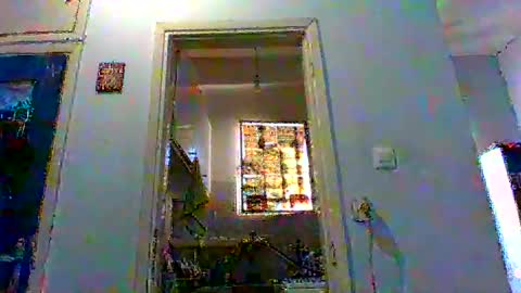 mppempis81 online show from February 3, 2026, 6:40 am