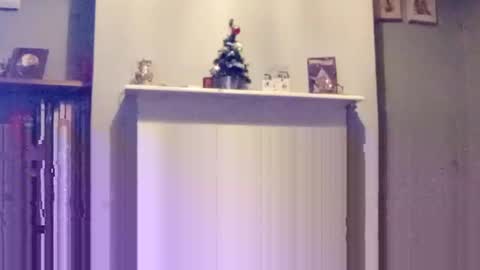 Snapshot of mr_i_ chatting on December 17, 2024, 8:10 pm mr_i_ online show from December 17, 2024, 8:10 pm