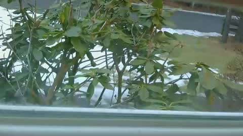 mrbrigggs online show from January 14, 2026, 12:11 pm